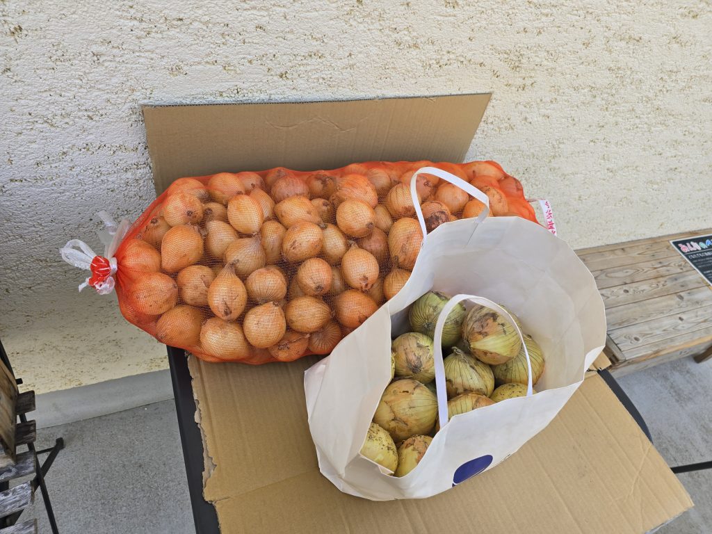 ☆「子ども食堂」をされていらっしゃる「おかや食堂」さんに、今回は、小さい「淡路島たまねぎ」をお届けさせていただきました。
