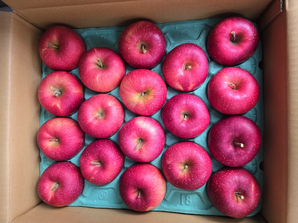 お弁当屋と八百屋さんを経営されているご夫婦より寄付をして頂きました【りんご１箱】を子ども食堂をされている「子ども食堂 つなぐ」さんにお届けさせていただきました。