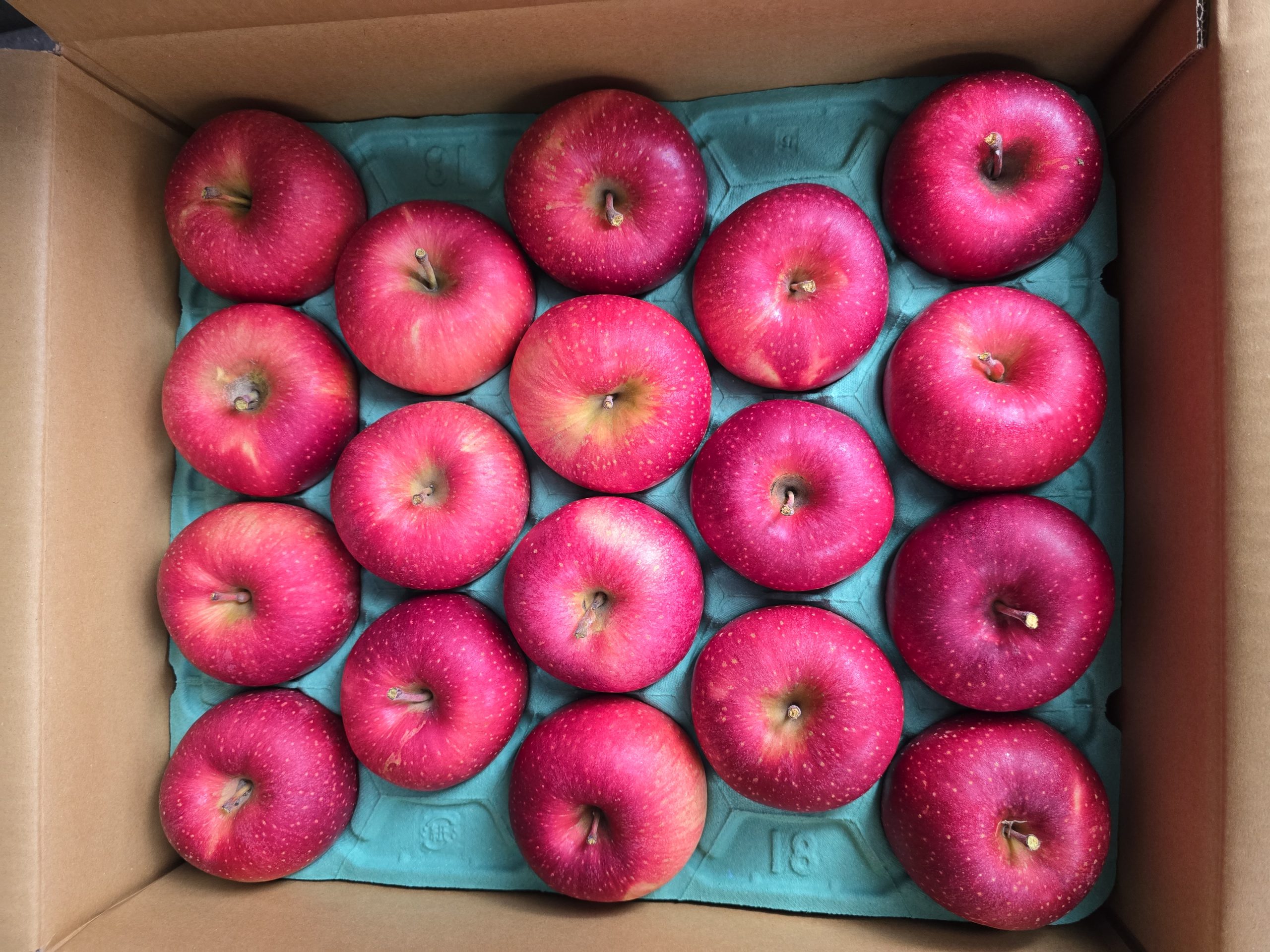 お弁当屋と八百屋さんを経営されているご夫婦より寄付をして頂きました【りんご１箱】を子ども食堂をされている「子ども食堂 つなぐ」さんにお届けさせていただきました。