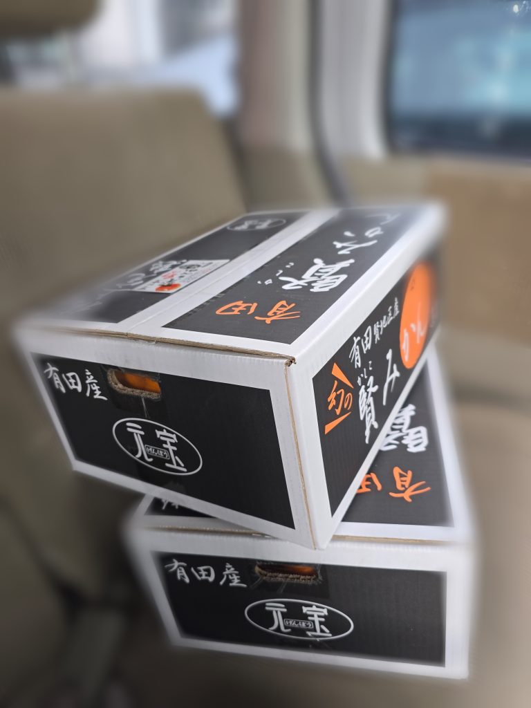 ２０２６年１月某日、【おみかん２箱】をお弁当屋と八百屋さんを経営されているご夫婦よりご購入させて頂き、子ども食堂をされている「子ども食堂 つなぐ」さんにお届けさせていただきました。