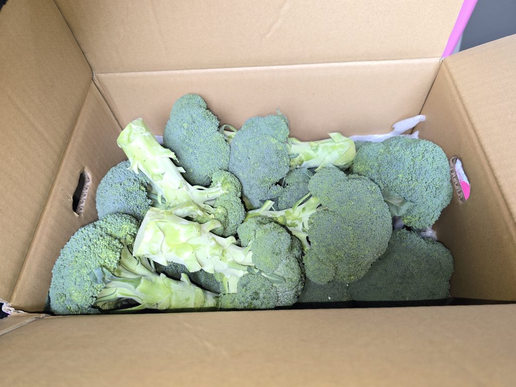 2026年2月某日、【いちご】をお弁当屋さんと八百屋さんを経営されているご夫婦よりご購入させて頂いた際、【ブロッコリー】をご提供いただきましたので、子ども食堂をされている「おかや食堂さん」と「子ども食堂 つなぐ」さんにお届けをさせていただきました。